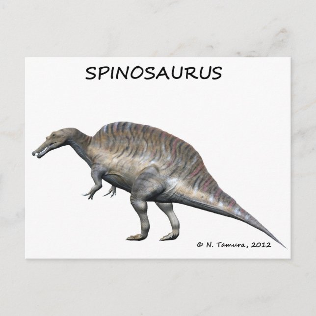 Spinosaurus Postcard (Front)