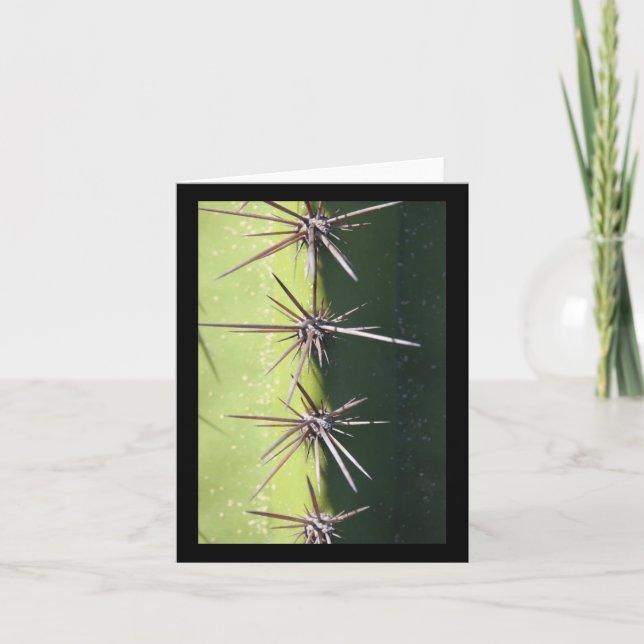 Spiny Cactus Closeup Vertical Sticker  Card (Front)