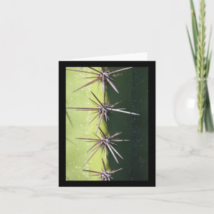 Spiny Cactus Closeup Vertical Sticker Card