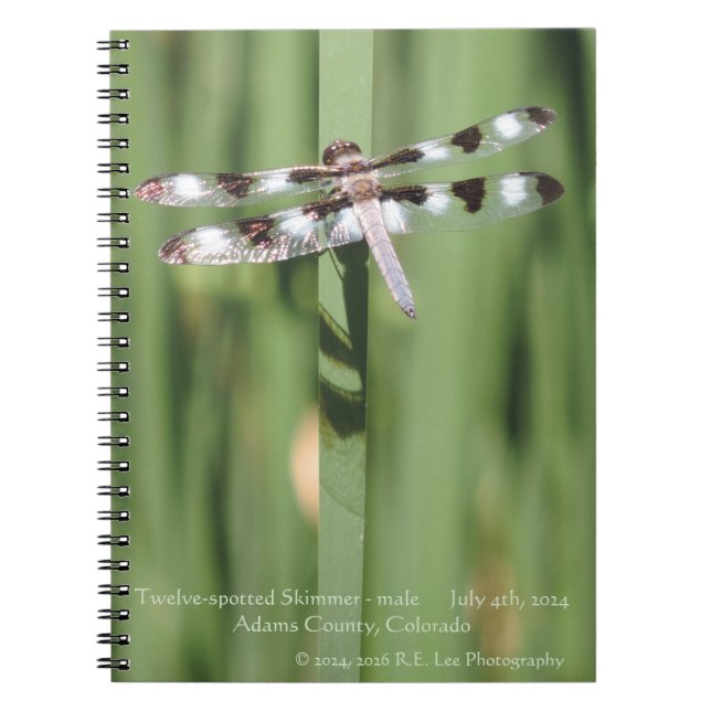 Spiral-bound notebook with Dragonfly Photograph (Front)