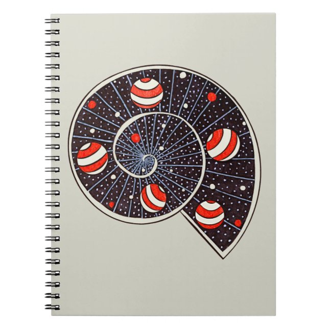 Spiral Galaxy Beach Ball Planets Funny Astronomy Notebook (Front)