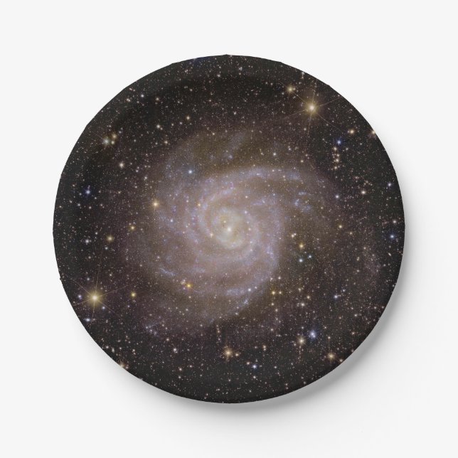 Spiral Galaxy IC 342 Paper Plate (Front)