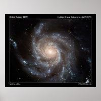 Spiral Galaxy M101