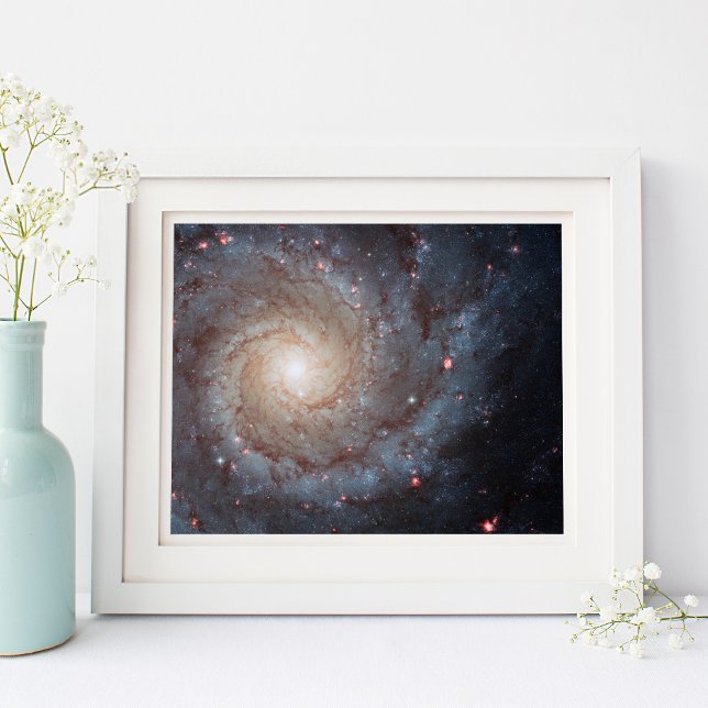 Spiral Galaxy M74 10x8 Poster (Spiral Galaxy M74 10x8 Poster)