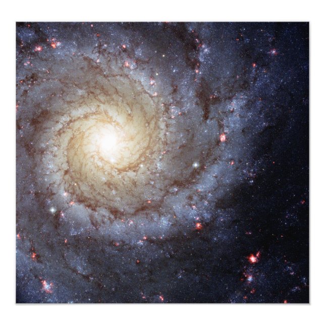 Spiral Galaxy M74 (Hubble) Photo Print (Front)