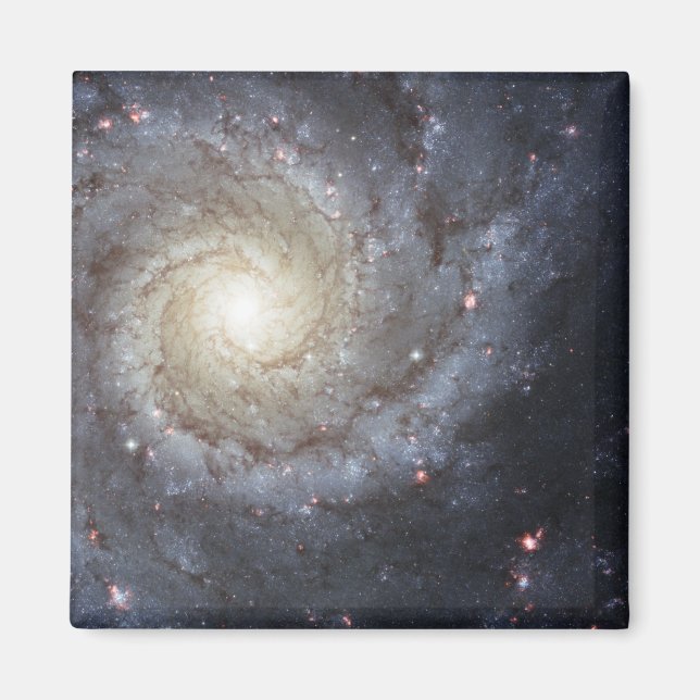 Spiral galaxy M74 Magnet (Front)