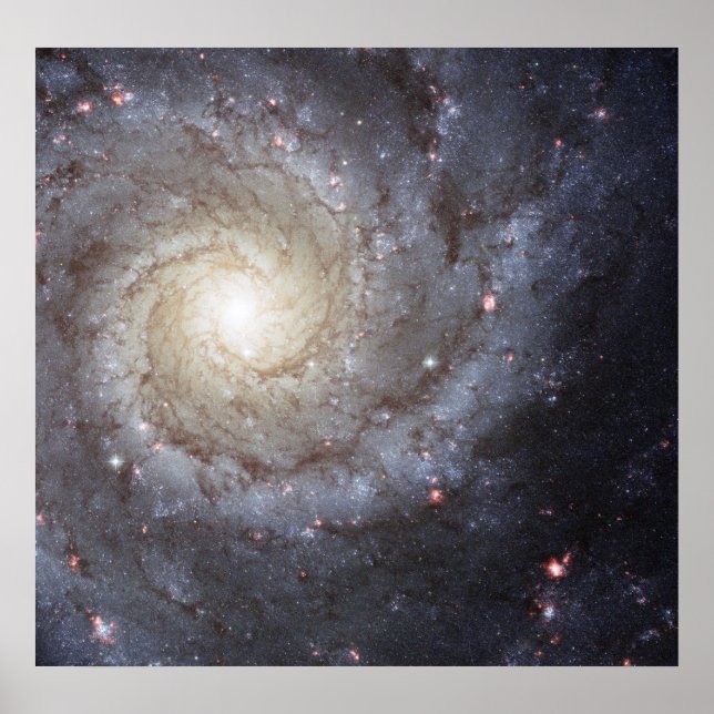 Spiral Galaxy M74 Poster (Front)
