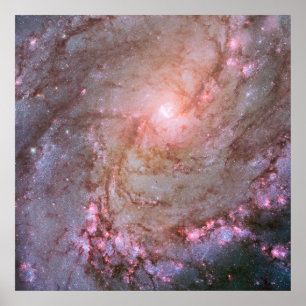 Spiral Galaxy M83, Ablaze With Star Formation. Poster