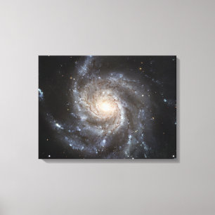 Spiral galaxy Messier 101 Canvas Print