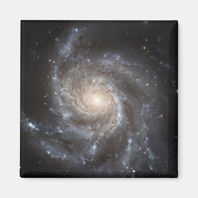 Spiral galaxy Messier 101 Magnet (Front)