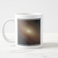 Spiral Galaxy Ngc 2841