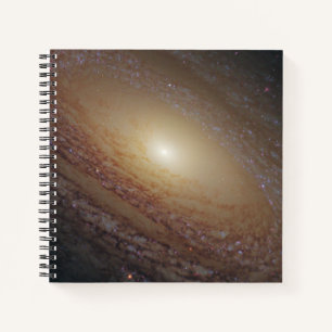 Spiral Galaxy Ngc 2841 Notebook