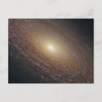 Spiral Galaxy NGC 2841