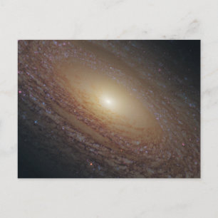 Spiral Galaxy NGC 2841 Postcard