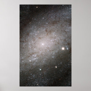 Spiral galaxy NGC 300. Poster