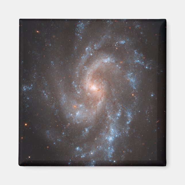Spiral Galaxy Ngc 5584 Magnet (Front)