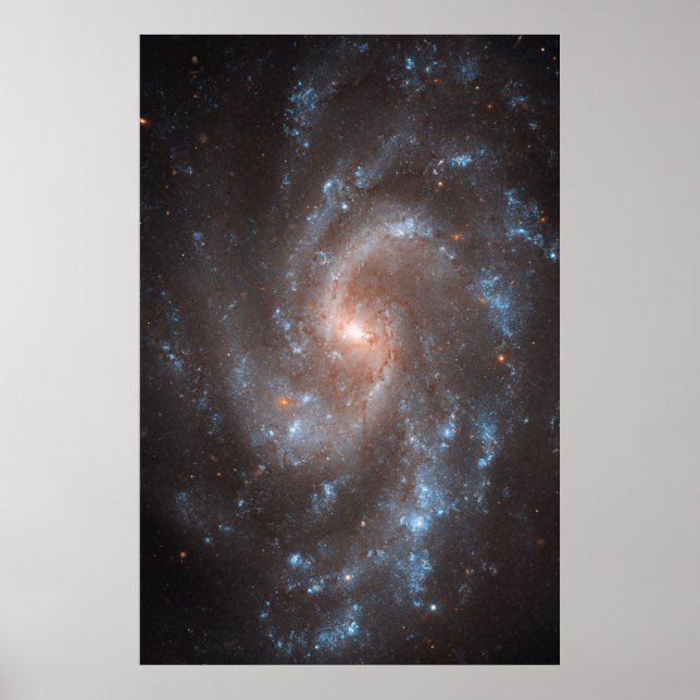 Spiral Galaxy Ngc 5584 Poster (Front)