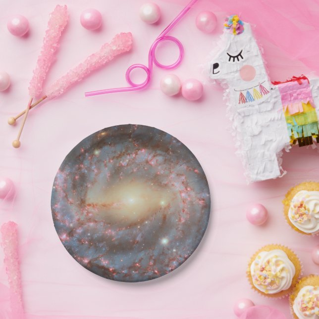 Spiral Galaxy Paper Plates  (Party)