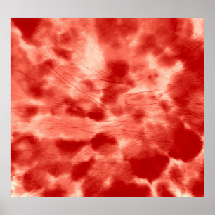 Spiral Kaleidoscope Psych Poster