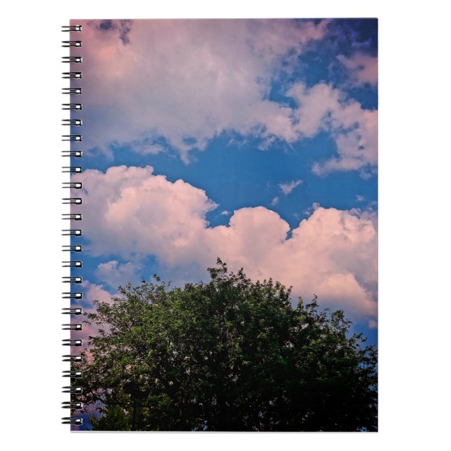 Spiral Notebook  (Front)