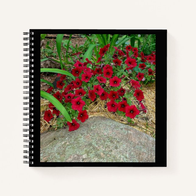 Spiral Notebook (Front)