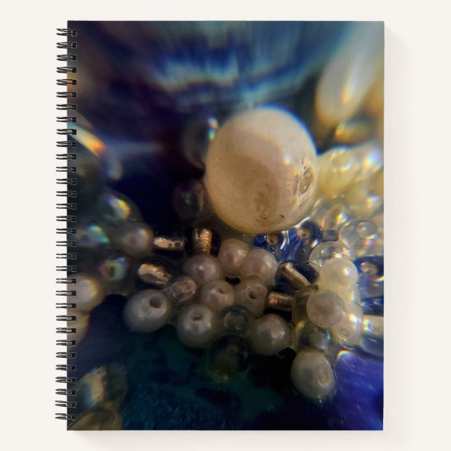 Spiral Notebook (Front)