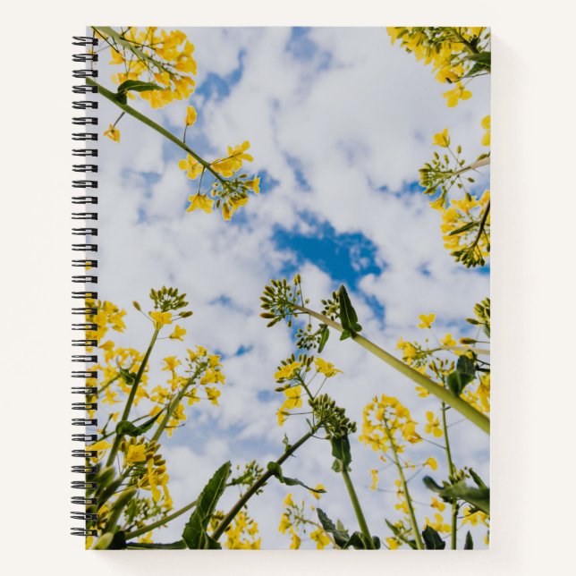 Spiral Notebook (Front)