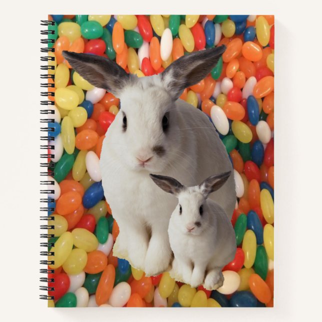 Spiral Notebook Easter (Front)