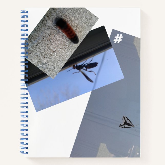 Spiral Notebook/INSECTS/MMETROPOLIM DESIGN Noteboo Notebook (Front)
