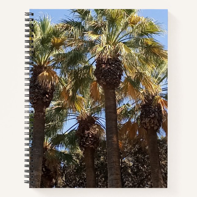 Spiral Notebook Lined (Front)