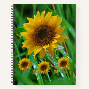Spiral Notebook Sunflower