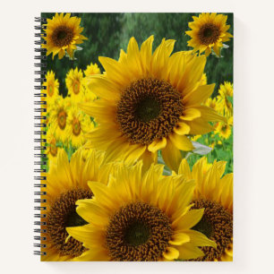 Spiral Notebook Sunflower