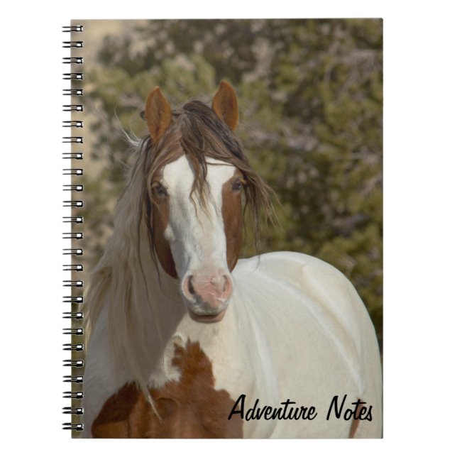 Spiral Notebook w/ Romeo (Front)
