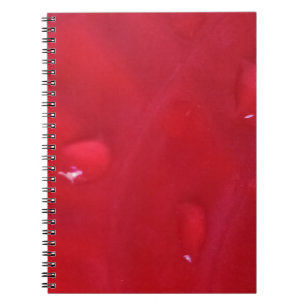 Spiral Notebook with Photo