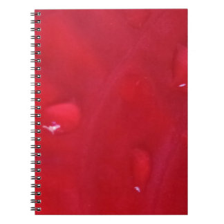 Spiral Notebook with Photo