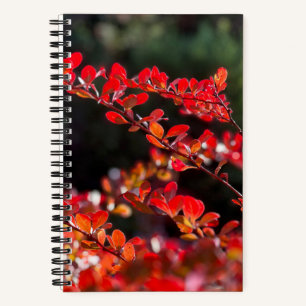 Spiral Photo Notebook