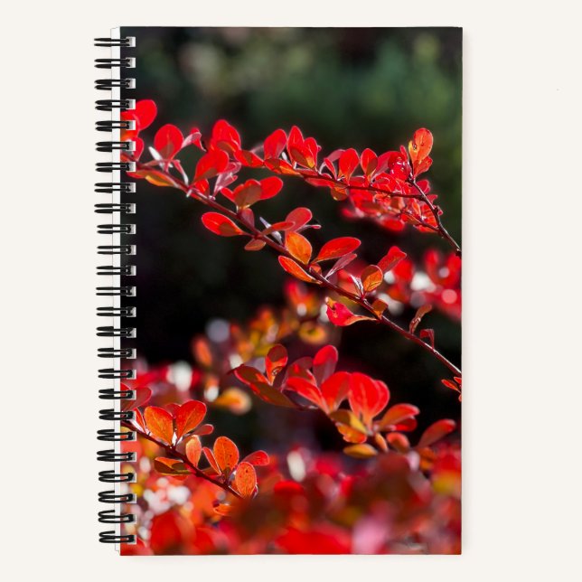 Spiral Photo Notebook (Front)