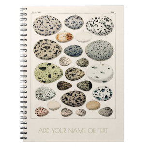 SPIRAL PHOTO NOTEBOOK : VINTAGE BIRDS EGG CHART