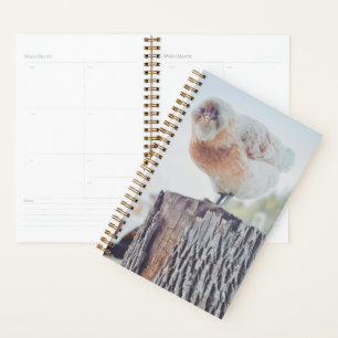 Spiral Planner - Its a Stumped Day