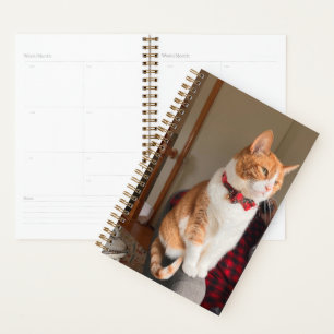 Spiral Planner Terrier Dog 