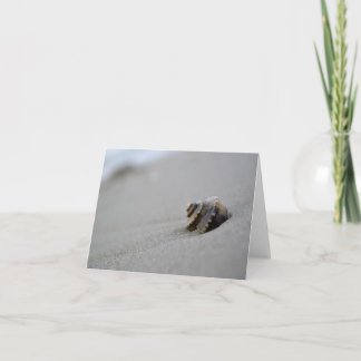 Spiral Seashell Beach Note Card