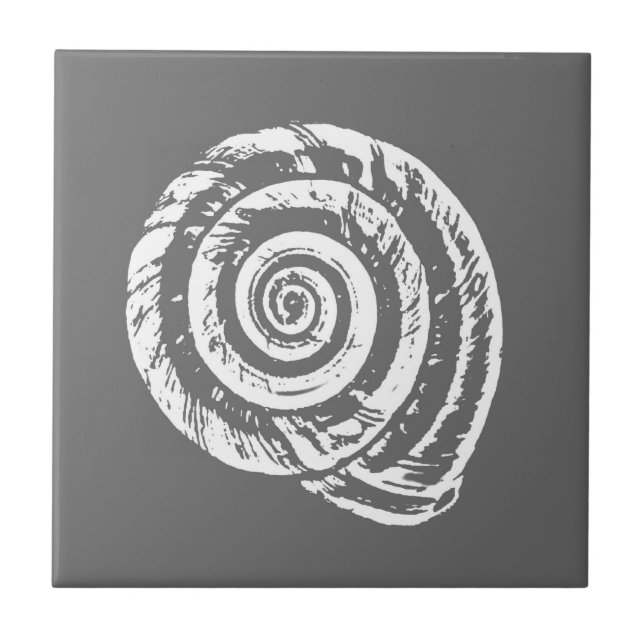 Spiral Seashell, Grey / Grey and White  Tile (Front)