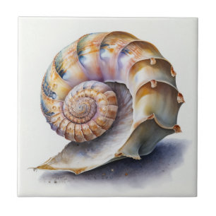 Spiral Seashell in Pastel Watercolor Tile