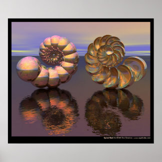 Spiral Shell Poster