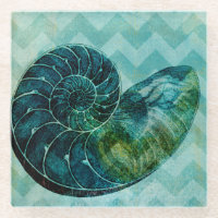 Spiral Turquoise Conch Shell
