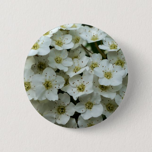 Spirea Arguta Badge (Front)