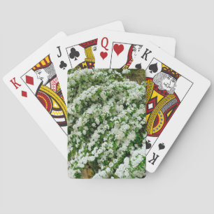 Spirea Arguta Playing Cards