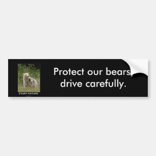 Spirit Bear Gifts Bumper Sticker