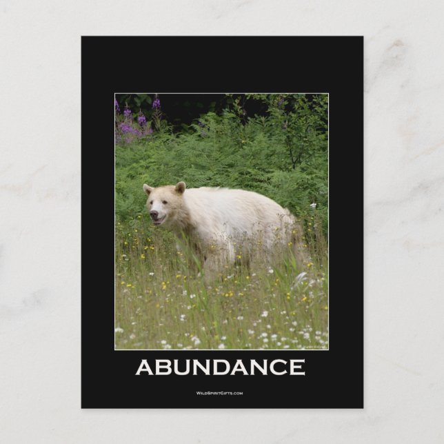 Spirit Bear Gifts Postcard (Front)