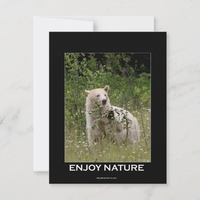 Spirit Bear Invitation Cards (Front)